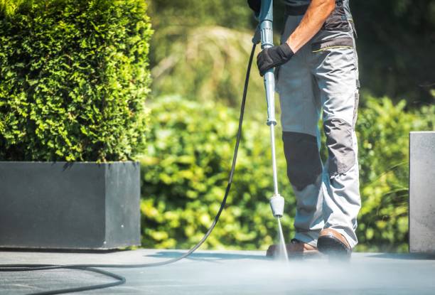 Pre-Holiday Cleaning in Centerville, CA